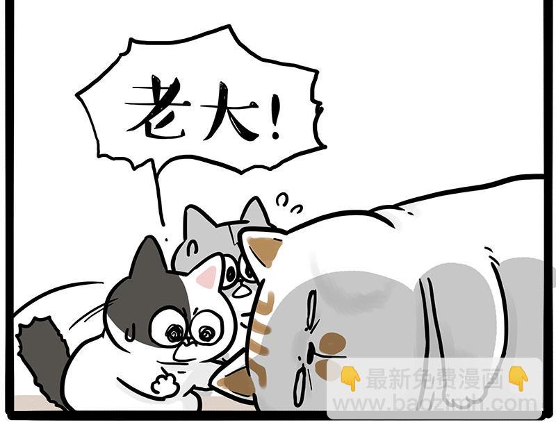 🍘吾皇巴扎黑 第446话 真相 第8页