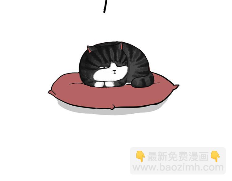 🍘吾皇巴扎黑 第46话 感觉自己失宠了（上） 第37页