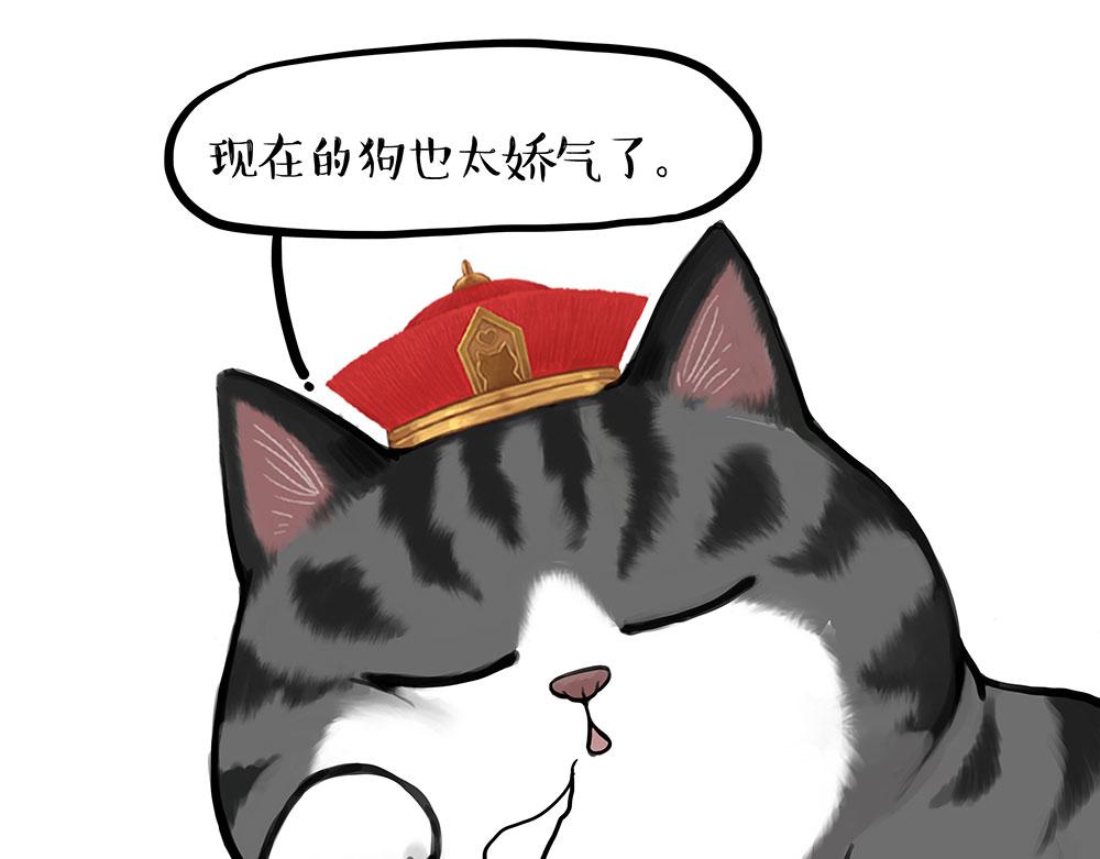 🍘吾皇巴扎黑 第448话 太“刑”了 第1页