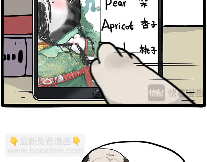 🍘吾皇巴扎黑 第448话 太“刑”了 第34页