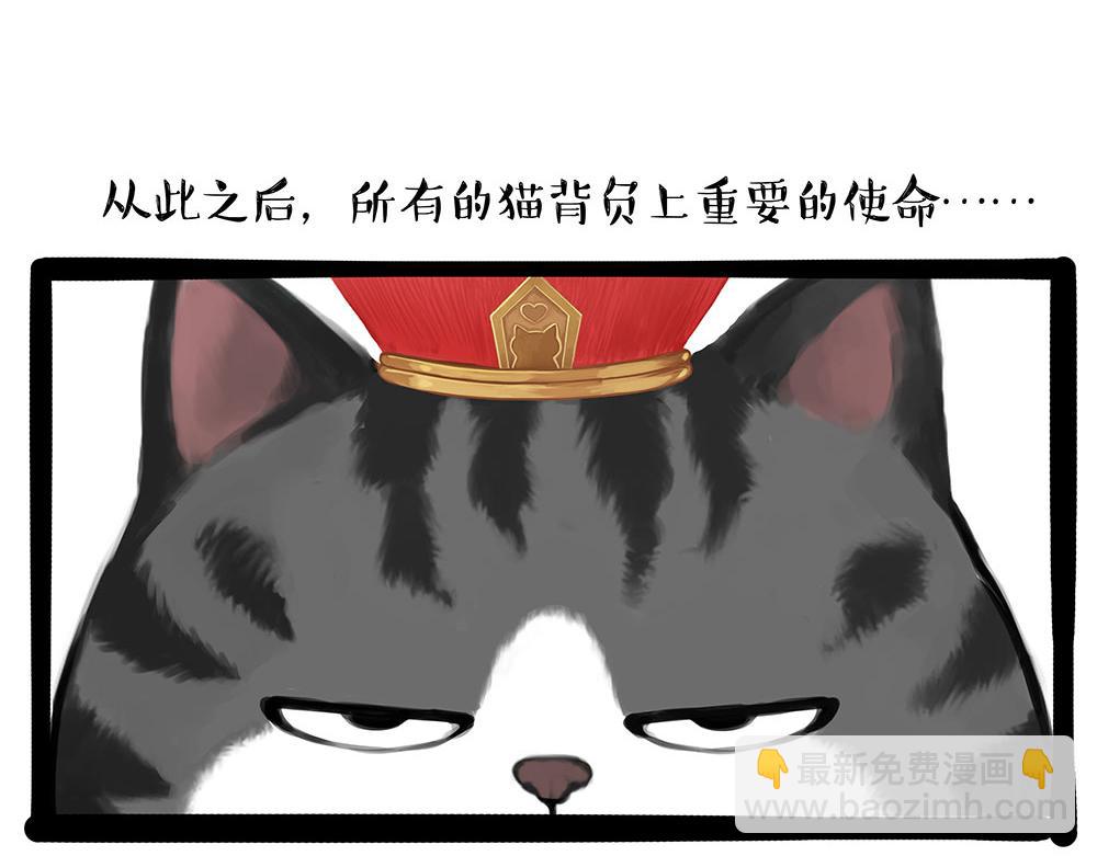 🍘吾皇巴扎黑 第448话 太“刑”了 第43页