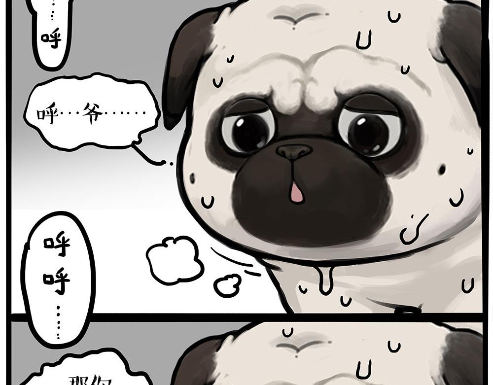 🍘吾皇巴扎黑 第448话 太“刑”了 第5页