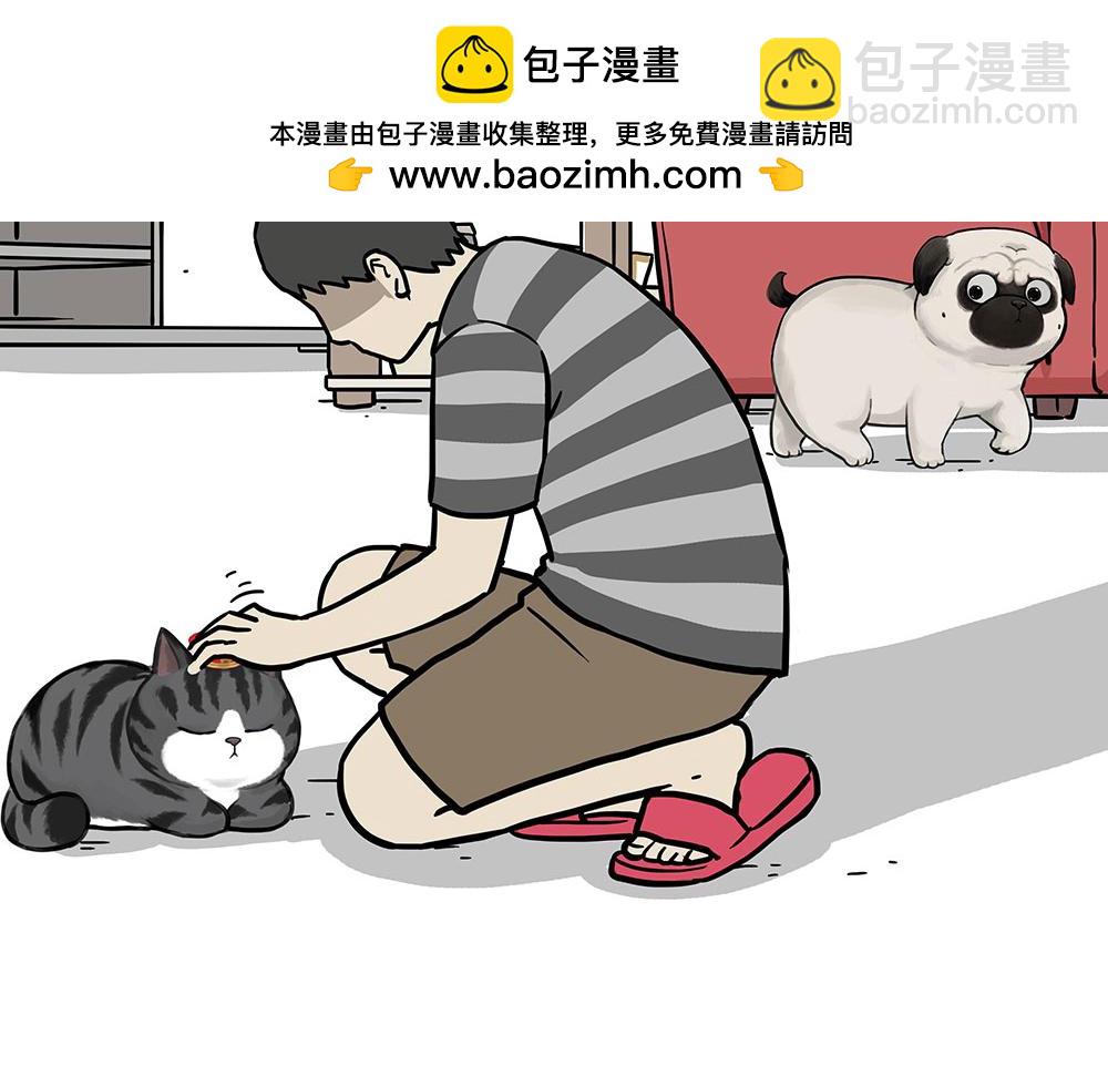 🍘吾皇巴扎黑 第450话 黑黑过来！ 第11页