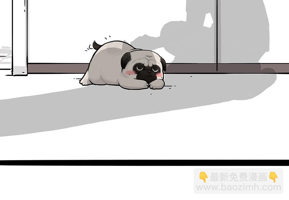 🍘吾皇巴扎黑 第450话 黑黑过来！ 第13页