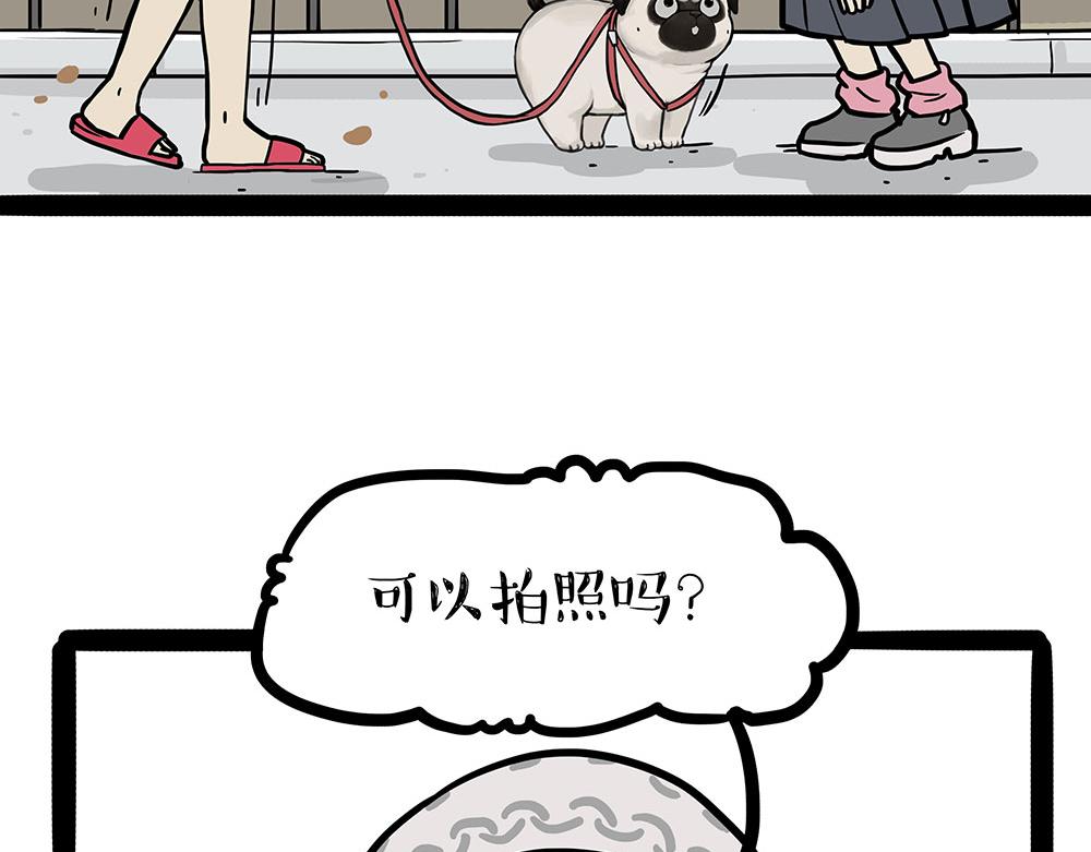 🍘吾皇巴扎黑 第450话 黑黑过来！ 第17页