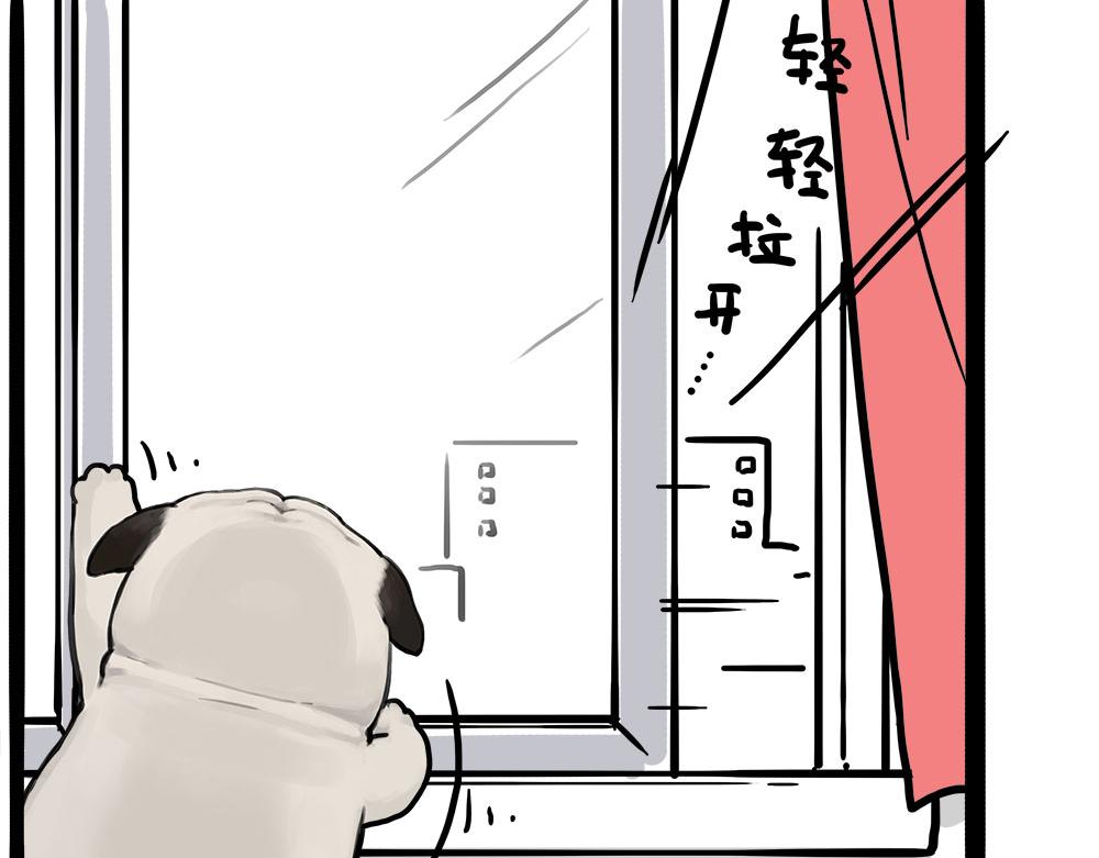 🍘吾皇巴扎黑 第450话 黑黑过来！ 第39页
