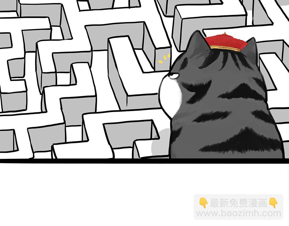 🍘吾皇巴扎黑 第452话 人生的容错率 第18页