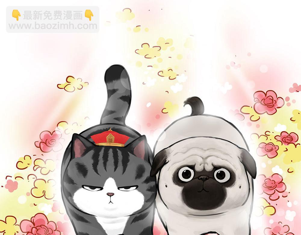 🍘吾皇巴扎黑 第452话 人生的容错率 第20页