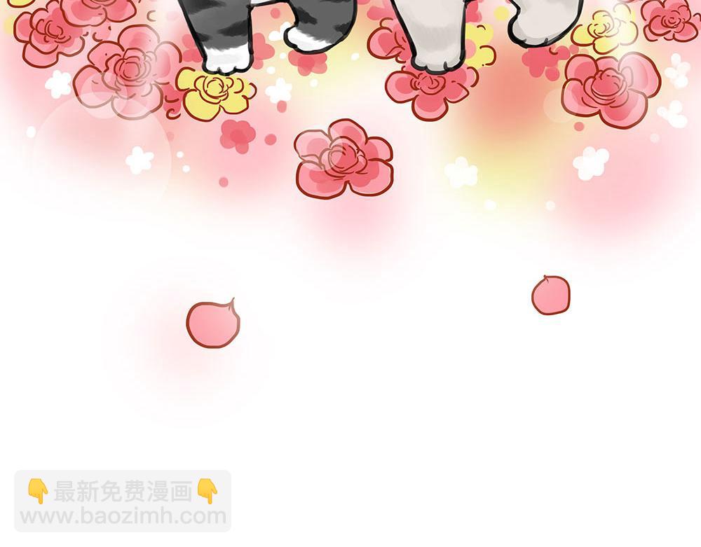 🍘吾皇巴扎黑 第452话 人生的容错率 第21页
