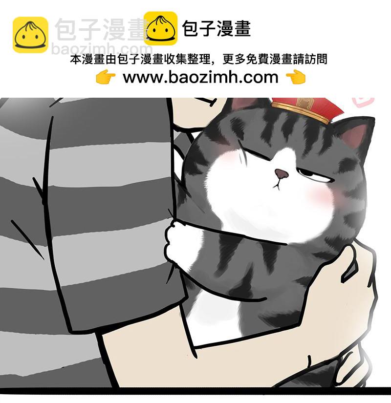 🍘吾皇巴扎黑 第456话 猫猫的年终总结 第12页