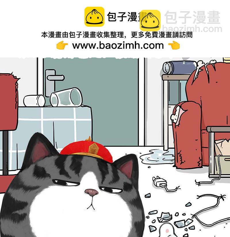 🍘吾皇巴扎黑 第456话 猫猫的年终总结 第2页
