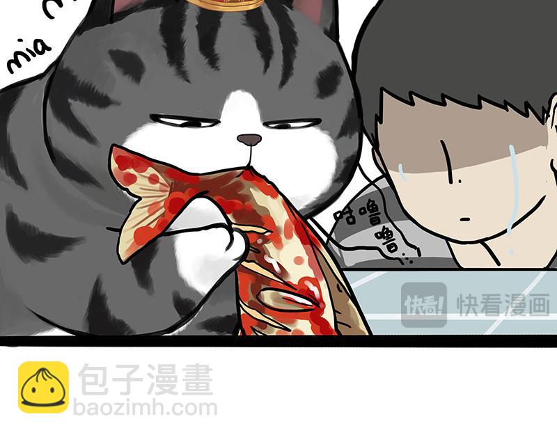 🍘吾皇巴扎黑 第456话 猫猫的年终总结 第7页