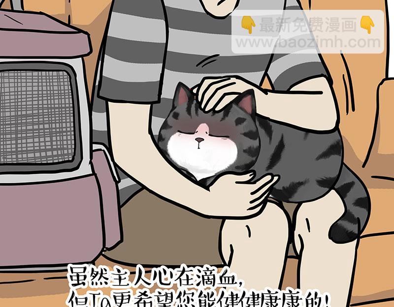 🍘吾皇巴扎黑 第456话 猫猫的年终总结 第9页