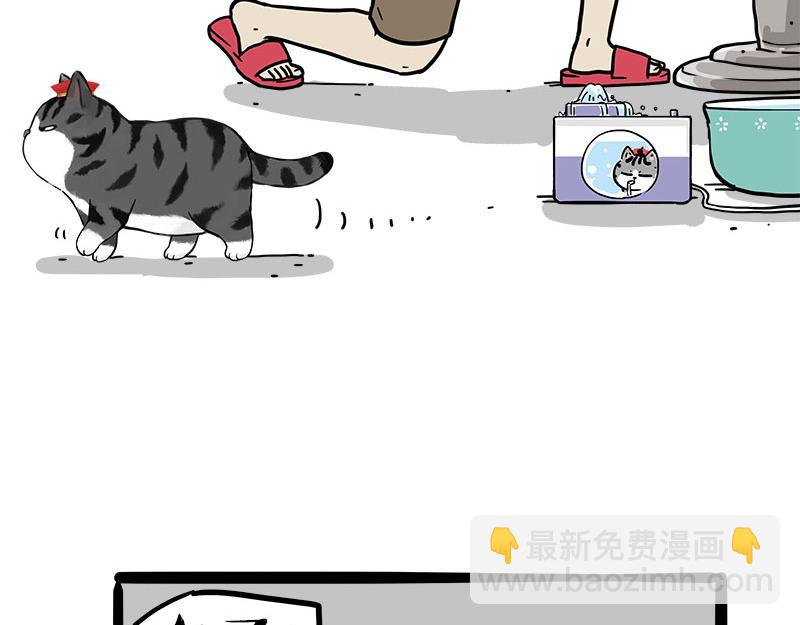 🍘吾皇巴扎黑 第460话 骗水 第11页