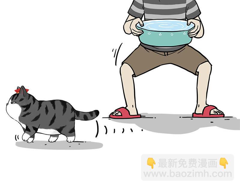 🍘吾皇巴扎黑 第460话 骗水 第3页