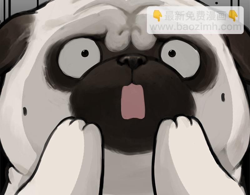 🍘吾皇巴扎黑 第462话 鸽王（被迫版） 第34页