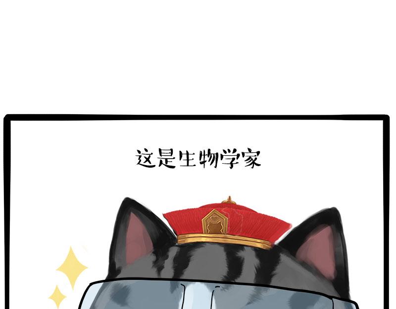 🍘吾皇巴扎黑 第462话 鸽王（被迫版） 第45页
