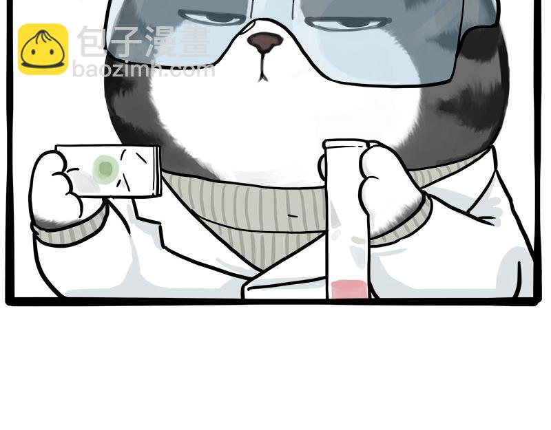 🍘吾皇巴扎黑 第462话 鸽王（被迫版） 第46页