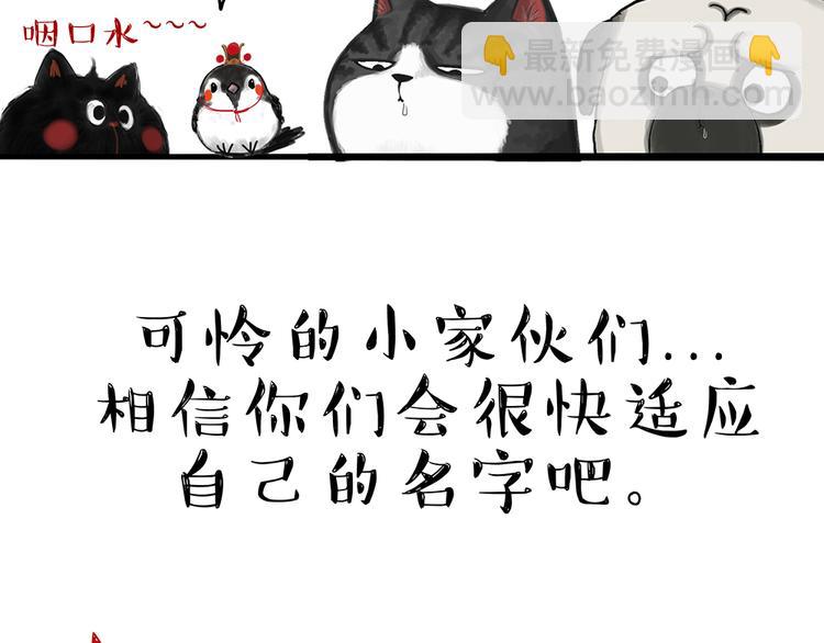 🍘吾皇巴扎黑 第48话 感觉自己失宠了（下） 第46页