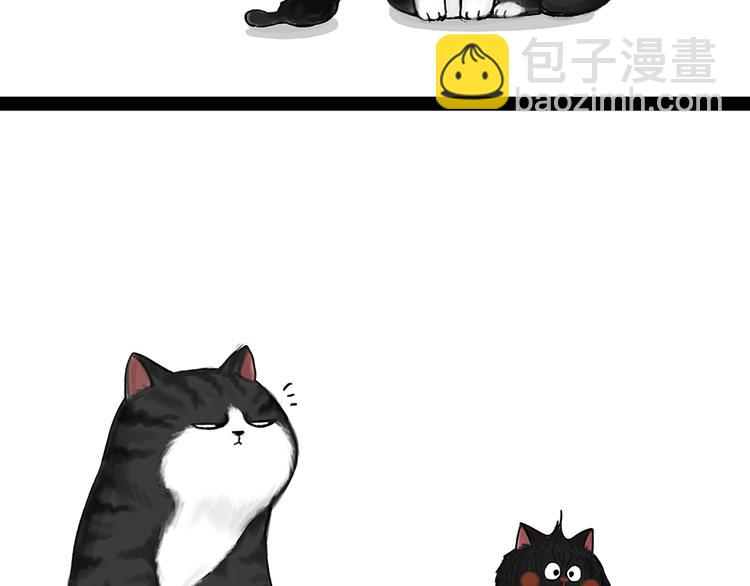 🍘吾皇巴扎黑 第50话 你的身边有我在 第12页