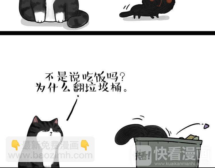🍘吾皇巴扎黑 第50话 你的身边有我在 第13页