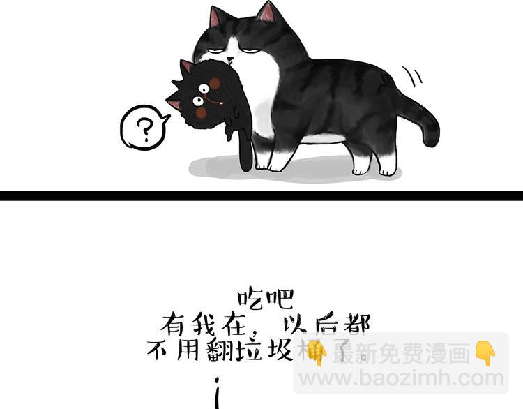 🍘吾皇巴扎黑 第50话 你的身边有我在 第16页