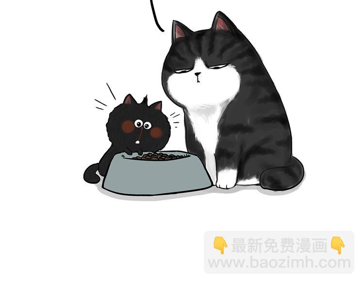 🍘吾皇巴扎黑 第50话 你的身边有我在 第17页