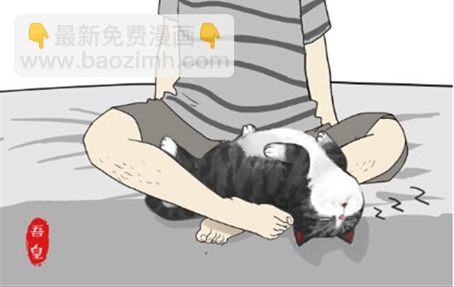 🍘吾皇巴扎黑 第6话 喵的睡姿就是如此奔放 第15页