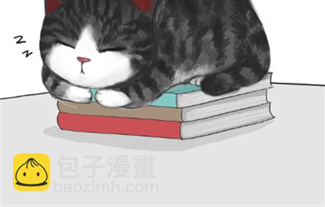🍘吾皇巴扎黑 第6话 喵的睡姿就是如此奔放 第2页