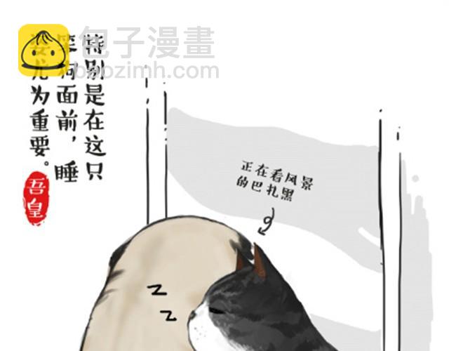 🍘吾皇巴扎黑 第6话 喵的睡姿就是如此奔放 第8页