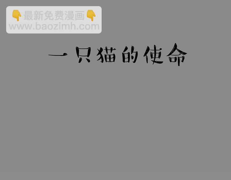 🍘吾皇巴扎黑 第52话 宠物的使命 第16页