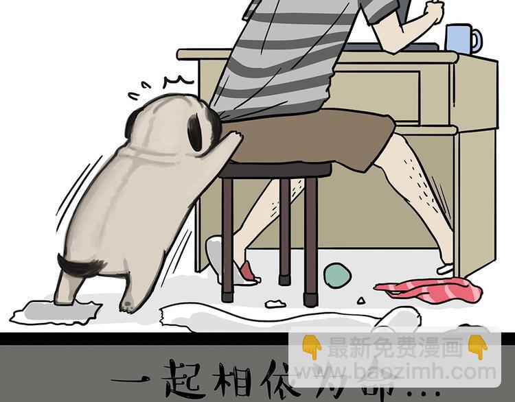 🍘吾皇巴扎黑 第52话 宠物的使命 第2页