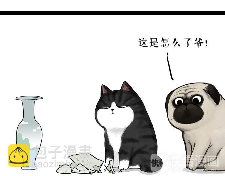🍘吾皇巴扎黑 第54话 太受关注也不是好事 第12页