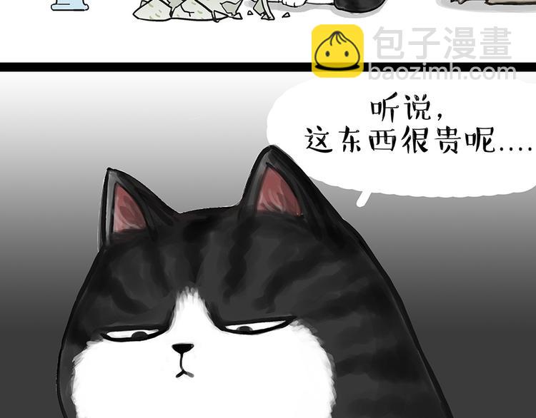 🍘吾皇巴扎黑 第54话 太受关注也不是好事 第14页