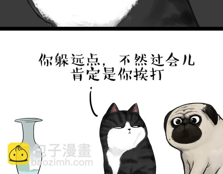 🍘吾皇巴扎黑 第54话 太受关注也不是好事 第15页