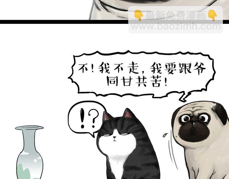 🍘吾皇巴扎黑 第54话 太受关注也不是好事 第17页