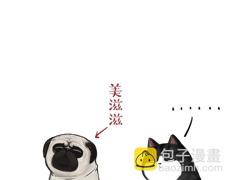 🍘吾皇巴扎黑 第54话 太受关注也不是好事 第19页