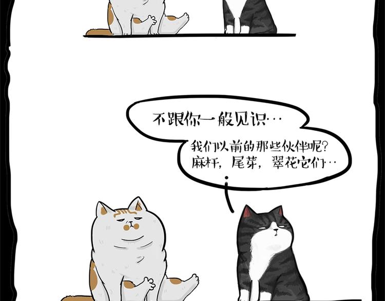 🍘吾皇巴扎黑 第58话 流浪生活 第10页