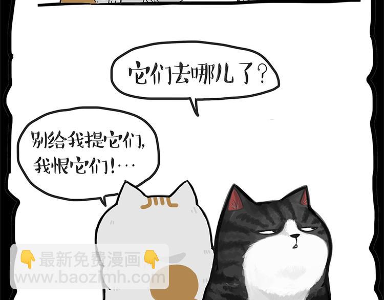 🍘吾皇巴扎黑 第58话 流浪生活 第11页