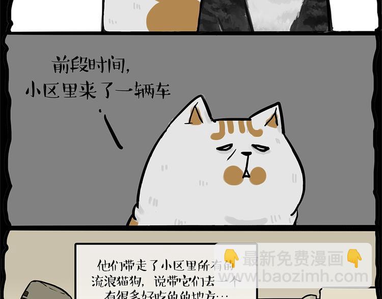 🍘吾皇巴扎黑 第58话 流浪生活 第12页