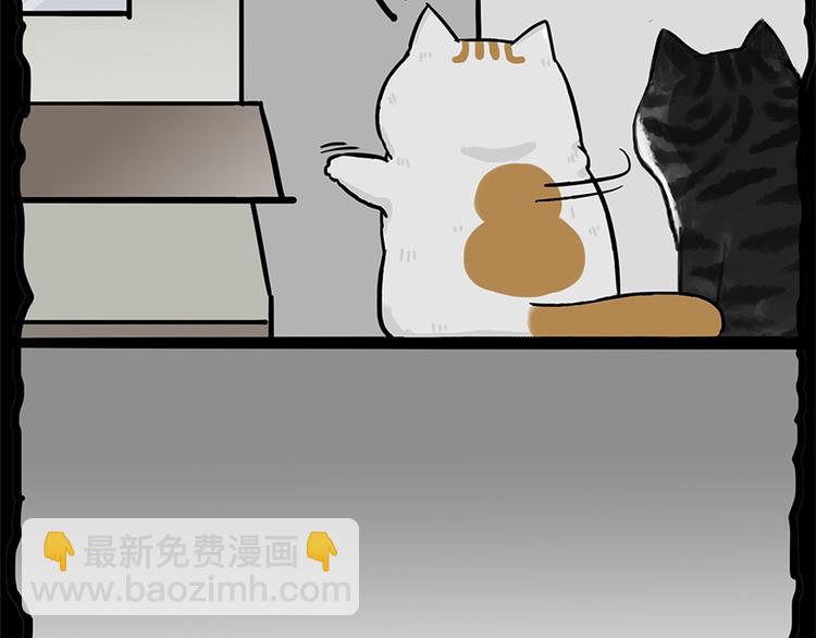 🍘吾皇巴扎黑 第58话 流浪生活 第18页