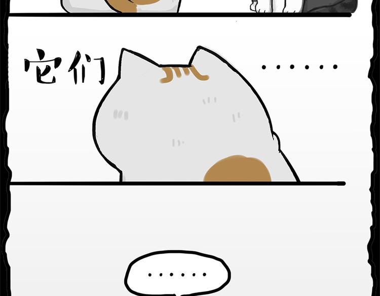 🍘吾皇巴扎黑 第58话 流浪生活 第27页