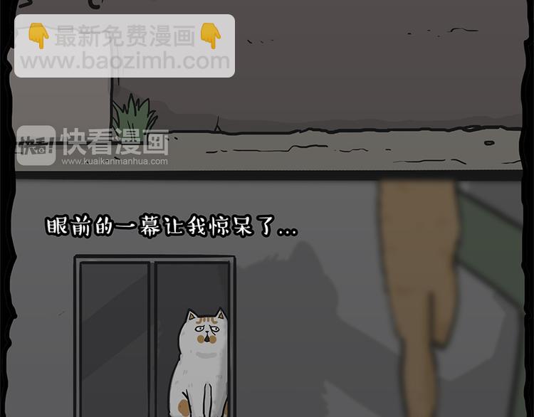 🍘吾皇巴扎黑 第58话 流浪生活 第35页