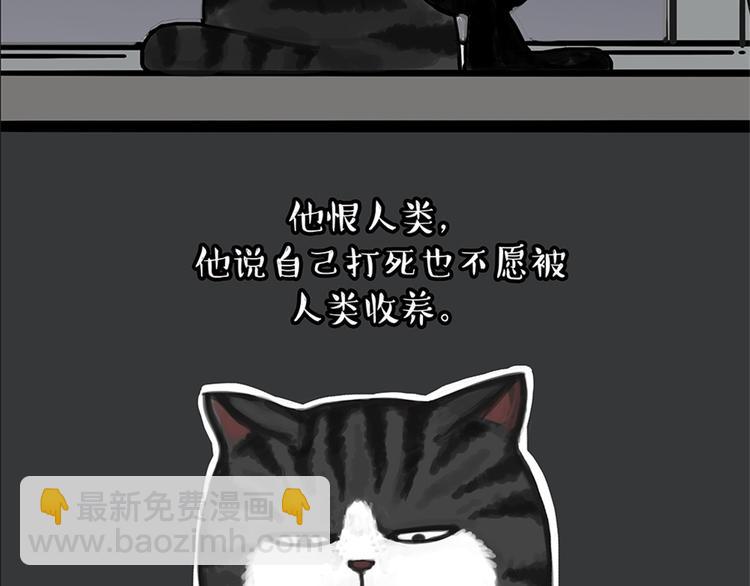 🍘吾皇巴扎黑 第58话 流浪生活 第39页