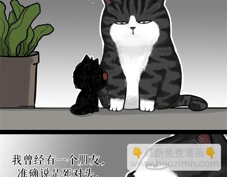 🍘吾皇巴扎黑 第58话 流浪生活 第4页