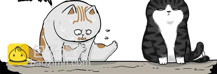 🍘吾皇巴扎黑 第58话 流浪生活 第8页