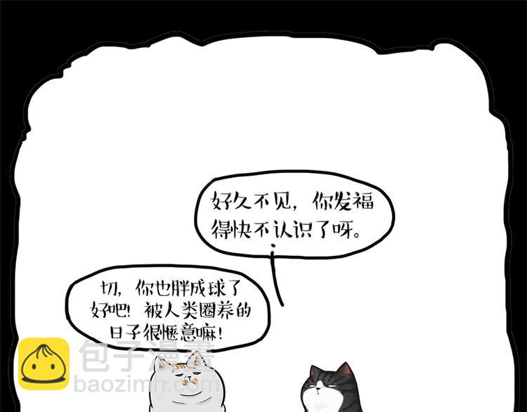 🍘吾皇巴扎黑 第58话 流浪生活 第9页