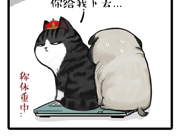 🍘吾皇巴扎黑 第64话 就在你身边 第15页