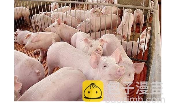 🍘吾皇巴扎黑 第68话 给你讲个笑话 第31页