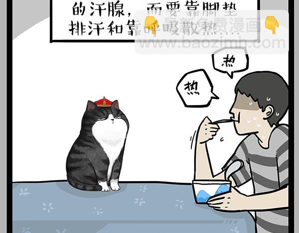 🍘吾皇巴扎黑 第70话 掉毛 第11页